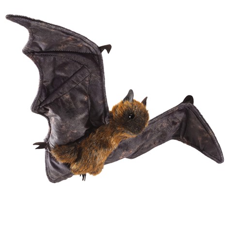 cute fruit bat
