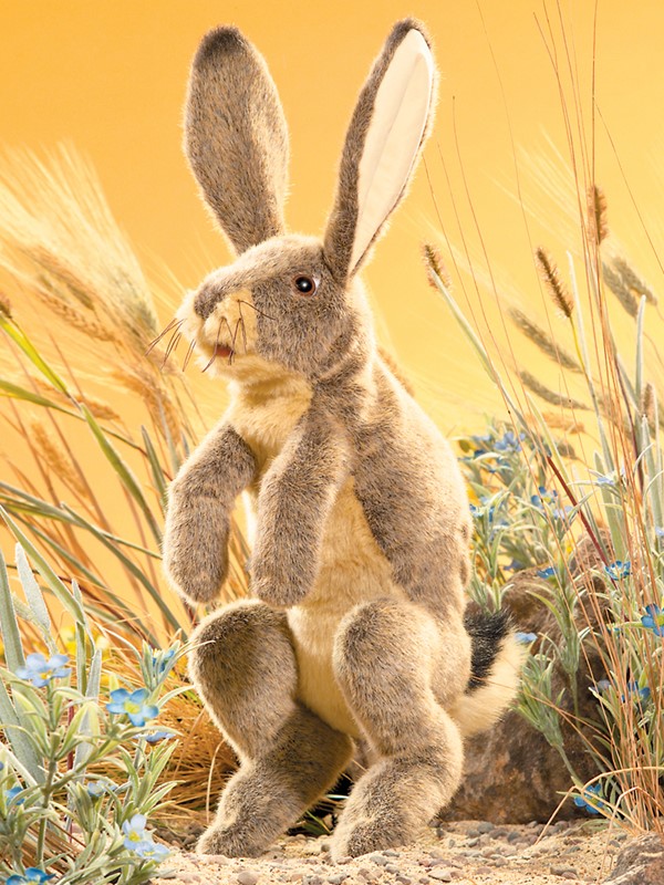 folkmanis bunny puppet