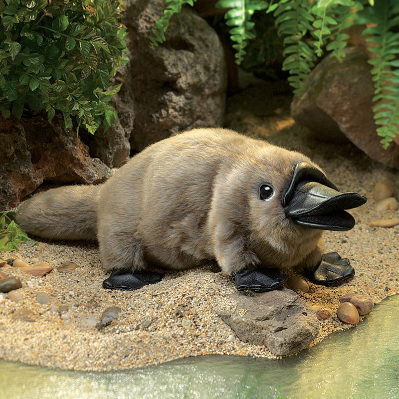 Folkmanis Baby Platypus Puppet