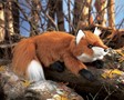 Folkmanis Fox, Small Red 2576 View 2