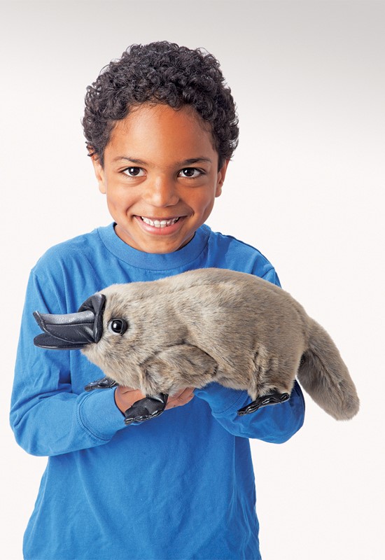 baby platypus stuffed animal