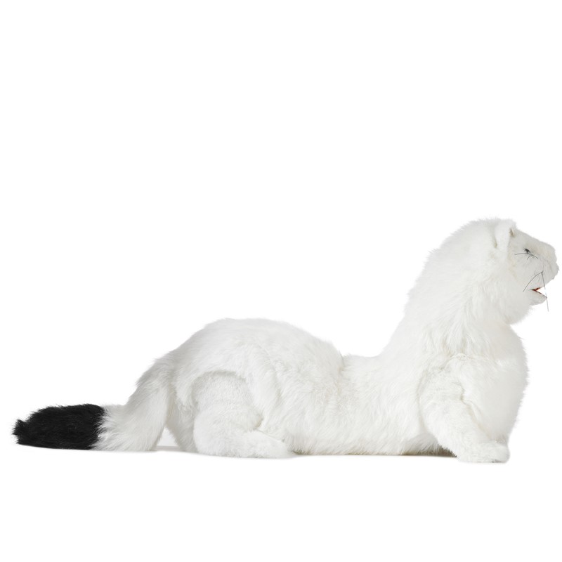 Buy wholesale Doudou YUN the white Breton ermine