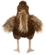 Folkmanis Hen 3094 View 4