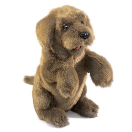 Black Poodle Dog Hand Puppet by Folkmanis Puppets for sale online 