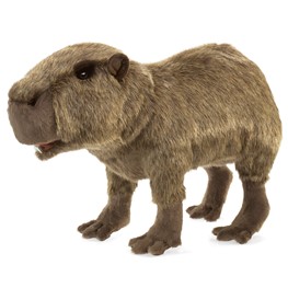 Wombat Hand Puppet by Folkmanis Boys & Girls MPN 3113 3 Years and Up 